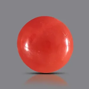 Red Coral- 4.04 Carats